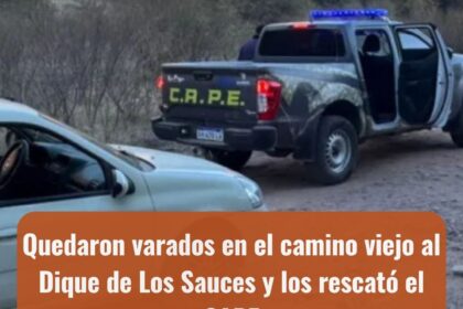 Policiales
